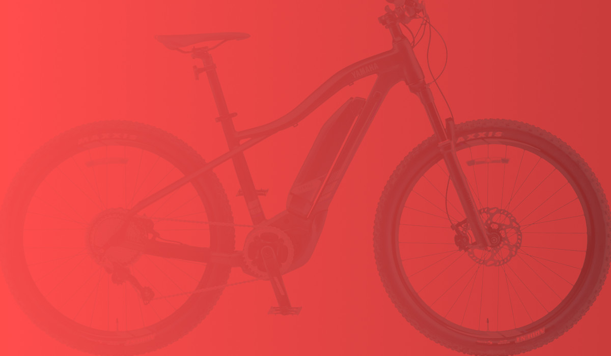 Electric Bikes